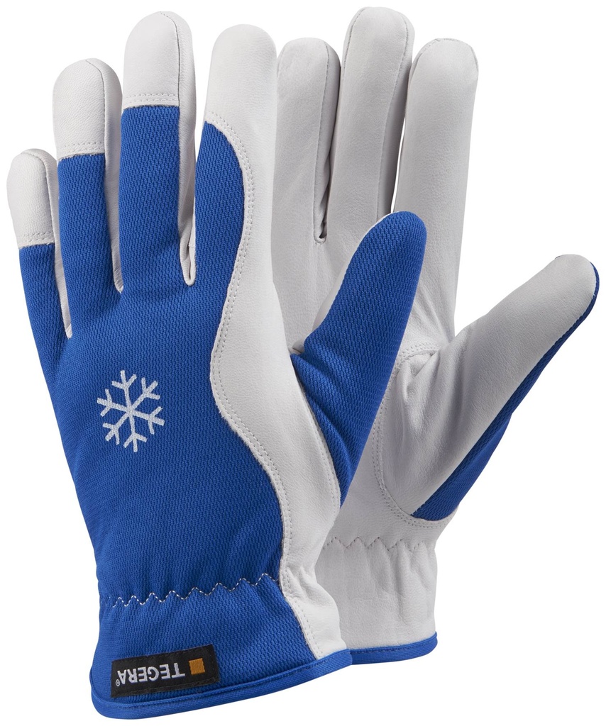 GANT TEGERA 217 (1PR)