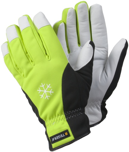 GANT TEGERA 293 (1PR)